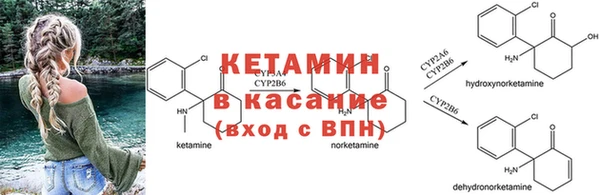 твердый Надым