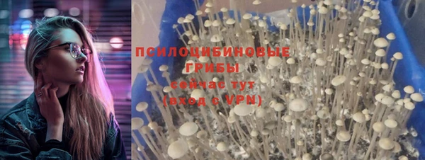 прущий лед Нея